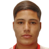 Diego Alan Mercado Carrizo