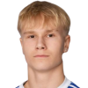 Никлас Kroupkin