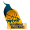 Molina Basket team logo