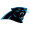 Carolina Panthers