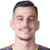 Мирза Alibegovic
