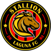 Stallion W