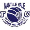 Nantlle Vale FC