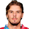 Radek Vesely