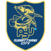 Surat Thani City