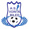 Vointa Biled