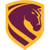 Brisbane Broncos