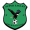 Super Eagles