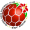 Bunga