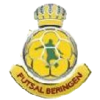 Futsal Beringen