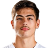 Kevin Shkurti