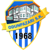Odunpazari D
