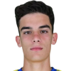 Vasilios Theofanopoulos