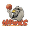 Canterbury Rams vs Hawke's Bay Hawks» Predictions, Odds, Live Score &  Streams