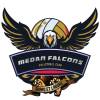 Medan Falcons