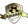 Staatsmeisterschaft von Goiás