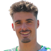 Victor Swinnen