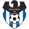 Drmoul