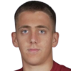 Nikola Grujic
