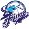 Rivas