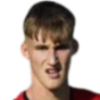 Маттео Pittarella
