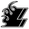 Liekit