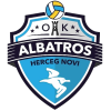 Albatros W