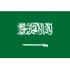 Arab Saudi B19