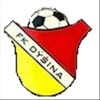 Dýšina