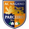 Parceiro Nagano N