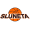 Usti nad Labem W team logo