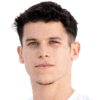 Emiliano Vidart