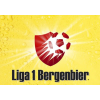 Liga 1