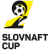 Pokal Slowakei