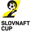 Piala Slovakia