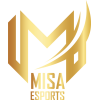 Misa Esports