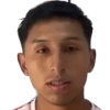 Rodrigo Pedro