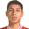 Erick Perleche