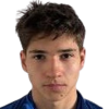 Anes Huskic