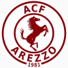 Arezzo W
