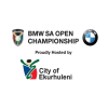 Відкритий чемпіонат Південної Африки