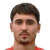 Nikola Milicic