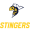 Edmonton Stingers