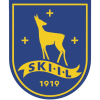 Ski