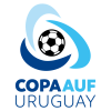 Купа на Уругвай