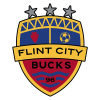 Flint City D