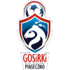 GOSiRKi Piaseczno K