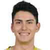 Amato Pinto Noguchi