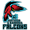 Antigua & Barbuda Falcons logo