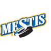 Mestis